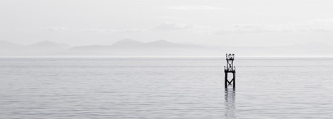 免费cc攻击测试