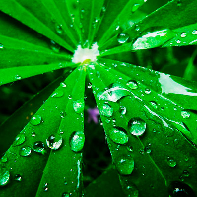 ddos在线攻击工具