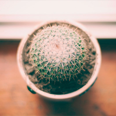 免费使用不要钱的ddos网页版